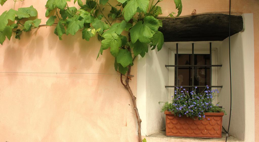 Casa Don Bosco Villa Locarno Oda fotoğraf